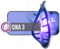Formation Theta Healing ® ADN 3