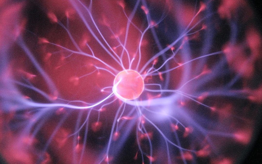 La Science et l&rsquo;Esprit